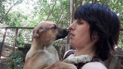 Сумські волонтери отримали гуманітарну допомогу для безпритульних тварин Сумські волонтери отримали гуманітарну допомогу для безпритульних тварин