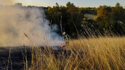 На Черкащині за добу сталися 11 пожеж сухої трави й очерету На Черкащині за добу сталися 11 пожеж сухої трави й очерету
