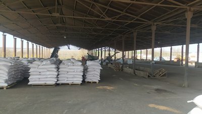 По дві тонни на господарство. На Миколаївщині фермери отримують насіння ярого ячменю По дві тонни на господарство. На Миколаївщині фермери отримують насіння ярого ячменю