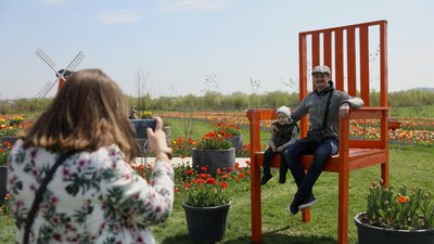 "Висадили до 3 мільйонів цибулин". Що дивитися на тюльпановому полі неподалік Чернівців "Висадили до 3 мільйонів цибулин". Що дивитися на тюльпановому полі неподалік Чернівців