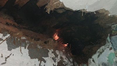 Протягом доби рятувальники тричі гасили пожежі на Миколаївщині Протягом доби рятувальники тричі гасили пожежі на Миколаївщині