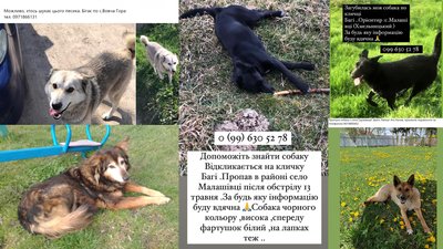 На фото дописи із соціальних мереж, які виклали жителі Хмельницького району після вибухів 13 травня. На фото дописи із соціальних мереж, які виклали жителі Хмельницького району після вибухів 13 травня.