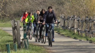 Уроки серед лісу та власні екосистеми на підвіконні. Як карантин змінив роботу учителів Полтавщини Уроки серед лісу та власні екосистеми на підвіконні. Як карантин змінив роботу учителів Полтавщини