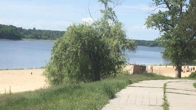 На Житомирщині дослідили якість води у місцях для купання – половина проб не відповідає нормам На Житомирщині дослідили якість води у місцях для купання – половина проб не відповідає нормам
