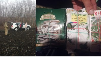 На Луганщині біля державного кордону зупинили позашляховик з російським насінням