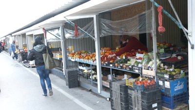 Як в Запоріжжі перевіряють рівень нітратів у продуктах Як в Запоріжжі перевіряють рівень нітратів у продуктах