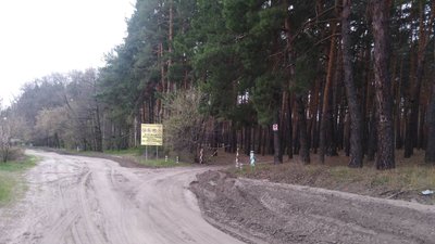 Замінування насаджень: на Харківщині пояснили заборону відвідування лісів