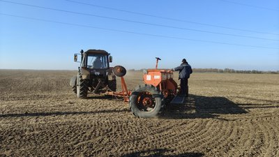 На Миколаївщині фермери сіють зимуючий горох, через кліматичні зміни На Миколаївщині фермери сіють зимуючий горох, через кліматичні зміни