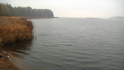 На Житомирщині у ході рейду виявили випадки порушень правил рибальства На Житомирщині у ході рейду виявили випадки порушень правил рибальства