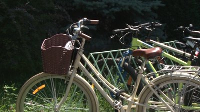179 закарпатців звернулися до поліції через крадіжки велосипедів цього року