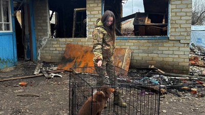 Поліцейська із врятованим собакою з Купʼянського напрямку, 5 грудня 2025 року