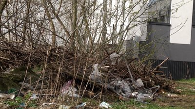 У Житомирі стартував місячник благоустрою