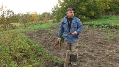 Багатодітна родина з Миколаївщини висадила та вже зібрала врожай на городі
