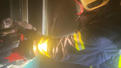 У Луцьку під час пожежі врятували п'ятьох цуценят