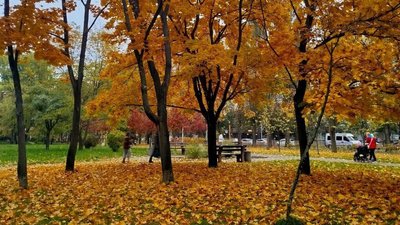 Русанівська набережна у Києві