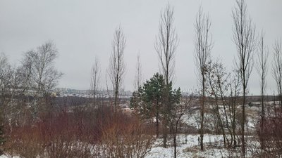 Аномально теплий і майже без снігу: у Рівненському гідрометцентрі проаналізували, яким був січень Аномально теплий і майже без снігу: у Рівненському гідрометцентрі проаналізували, яким був січень