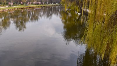 На Закарпатті у кар'єрі на території колишнього хімзаводу виявили тіло чоловіка