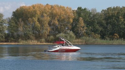 Шість тонн товстолоба випустили у черкаський Дніпро