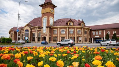 В Ужгороді розквітло близько 42 тисяч тюльпанів