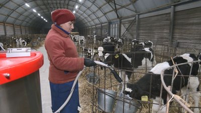 Без вихідних і на генераторі: як працює ферма на Черкащині в умовах відключень світла Без вихідних і на генераторі: як працює ферма на Черкащині в умовах відключень світла