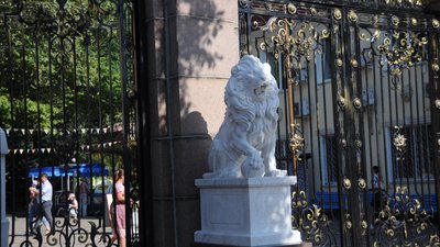 Всесвітній день лева. П'ять миколаївських великих котячих відзначають своє свято
