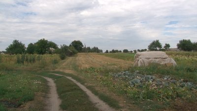 Родина на Черкащині судиться з сільрадою через відсутність дороги