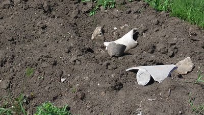 У Миколаєві на території розграбованої античної пам’ятки знайшли унікальну амфору