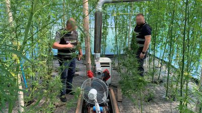 Вирощував коноплю та зберігав зброю: на Прилуччині поліція затримала чоловіка Вирощував коноплю та зберігав зброю: на Прилуччині поліція затримала чоловіка
