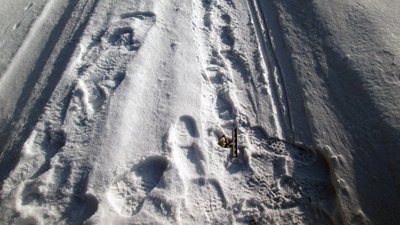 Предмет, схожий на гранату, знайшов на вулиці житель Житомирщини – що робити в таких випадках Предмет, схожий на гранату, знайшов на вулиці житель Житомирщини – що робити в таких випадках