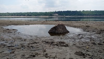 На Запоріжжі рівень води в нижньому б’єфі Дніпровської ГЕС нижчий за норму на 196 см