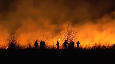 Понад пів тисячі підпалів сухостою зафіксували на Прикарпатті від початку року