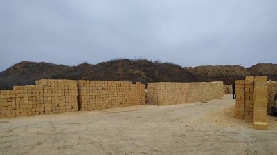 На Одещині судитимуть підприємця, якого підозрюють у незаконному видобутку черепашнику На Одещині судитимуть підприємця, якого підозрюють у незаконному видобутку черепашнику
