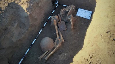 На Житомирщині знайшли останки солдата, який загинув у 1941 році На Житомирщині знайшли останки солдата, який загинув у 1941 році