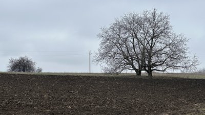 Донецька область, Хрестище, 27 березня 2026 рік