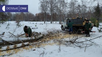 Наслідки дії шквального вітру в Сумах (ФОТОРЕПОРТАЖ)