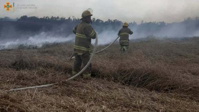 На Одещині від удару блискавки спалахнуло пшеничне поле На Одещині від удару блискавки спалахнуло пшеничне поле
