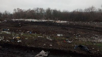 Стихійне звалище з рештками тварин виявили на Сумщині
