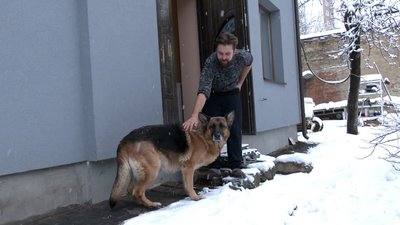 В Івано-Франківську жінка травмувала електрошокером сусідських собак. Господарі звернулися в поліцію В Івано-Франківську жінка травмувала електрошокером сусідських собак. Господарі звернулися в поліцію