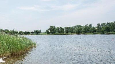 Риба потягла у воду: на Закарпатті потонув рибалка