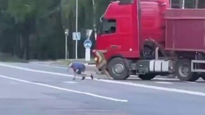 Затримання водія вантажівки у Маневичах