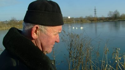 Примерзли до криги: як у Луцьку рятували родину лебедів