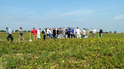 Більше мільйона тонн картоплі щороку вирощують на Волині. Сьогодні аграрії ділилися досвідом