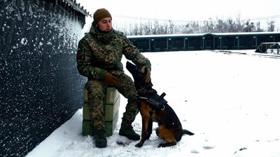 Кінолог