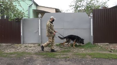 Пошуковий собака Рамзес допоміг сумським поліцейським викрити крадія Пошуковий собака Рамзес допоміг сумським поліцейським викрити крадія