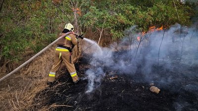 На Миколаївщині вигоріли 10 гектарів відкритих територій за добу — ДСНС На Миколаївщині вигоріли 10 гектарів відкритих територій за добу — ДСНС
