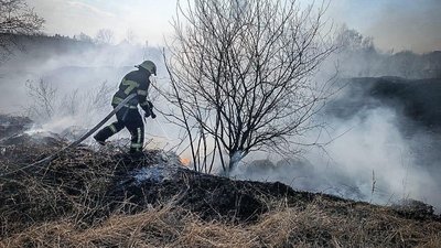 35 пожеж за добу: на Волині вигоріли майже 43 гектари сухої трави та чагарників 35 пожеж за добу: на Волині вигоріли майже 43 гектари сухої трави та чагарників