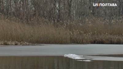 На деяких ставках вода замерзла На деяких ставках вода замерзла