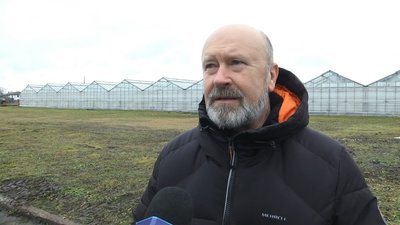 На ринках Житомира подорожчали овочі. Чому зросли ціни?