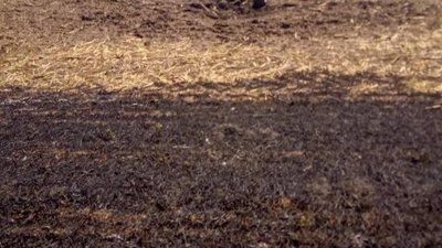 У Криворізькому районі Дніпропетровщини через обстріл військ РФ сталася пожежа: горить очерет і стерня У Криворізькому районі Дніпропетровщини через обстріл військ РФ сталася пожежа: горить очерет і стерня