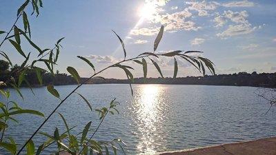 Природа Кіровоградщини